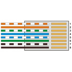 Kolejność ułożenia przewodów (według kolorów) wewnątrz wtyku RJ-45
